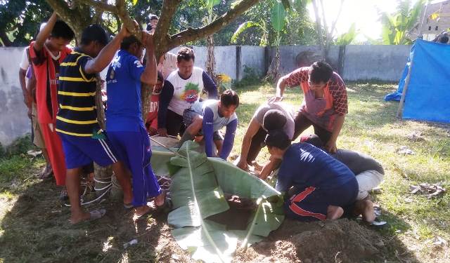 Penyembelihan hewan kurban yang dilakukan LDII Pantai Labu.