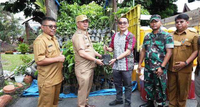 Bupati Taput, Nikson Nababan menerima bantuan CSR bibit mangga harum manis dari PT Inalum.