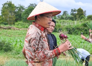 FB_IMG_1689259672076_copy_381x272