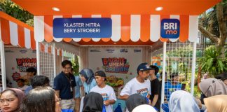 BRILink
