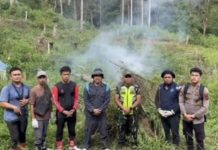 BNN Musnahkan Ladang Ganja Seluas 3 Hektare di Sumut, 30 Ton Hasil Panen Dibakar