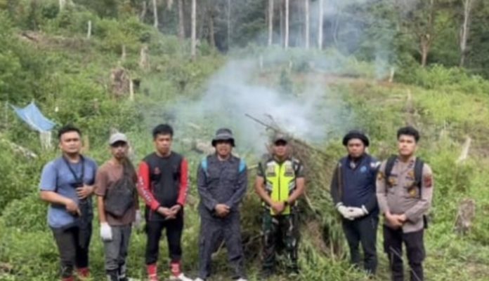 Screenshot_20251115_195531